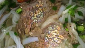 thịt bò có ánh vàng